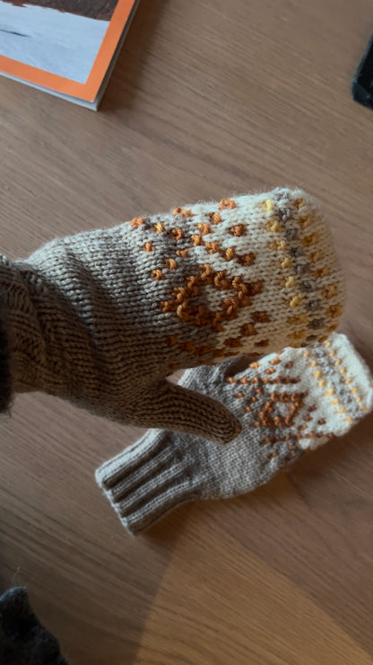 Tales of Patagonia Mittens