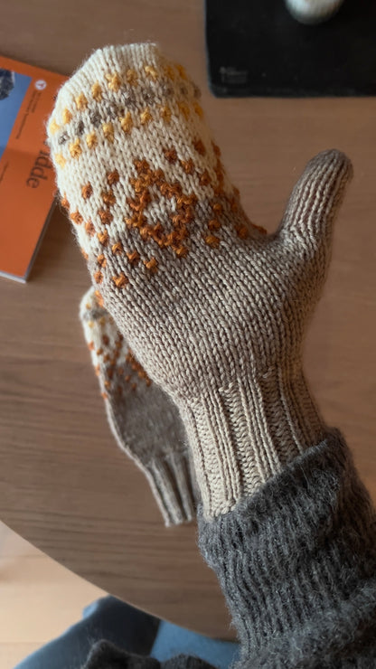 Tales of Patagonia Mittens